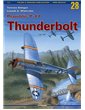 28 - Republic P-47 Thunderbolt IV
