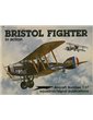 .1137 - Bristol Fighter in Action