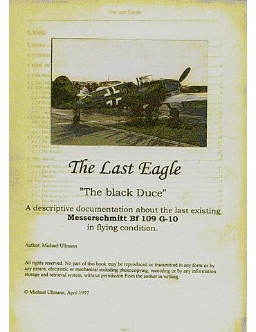 LAST EAGLE, THE