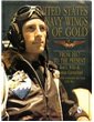 United States Navy Wings of Gold, From 1917 to the Present