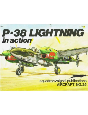 1025 - P-38 LIGHTNING IN ACTION